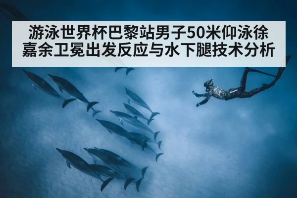 游泳世界杯巴黎站男子50米仰泳徐嘉余卫冕出发反应与水下腿技术分析