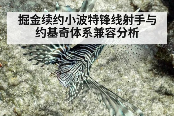 掘金续约小波特锋线射手与约基奇体系兼容分析